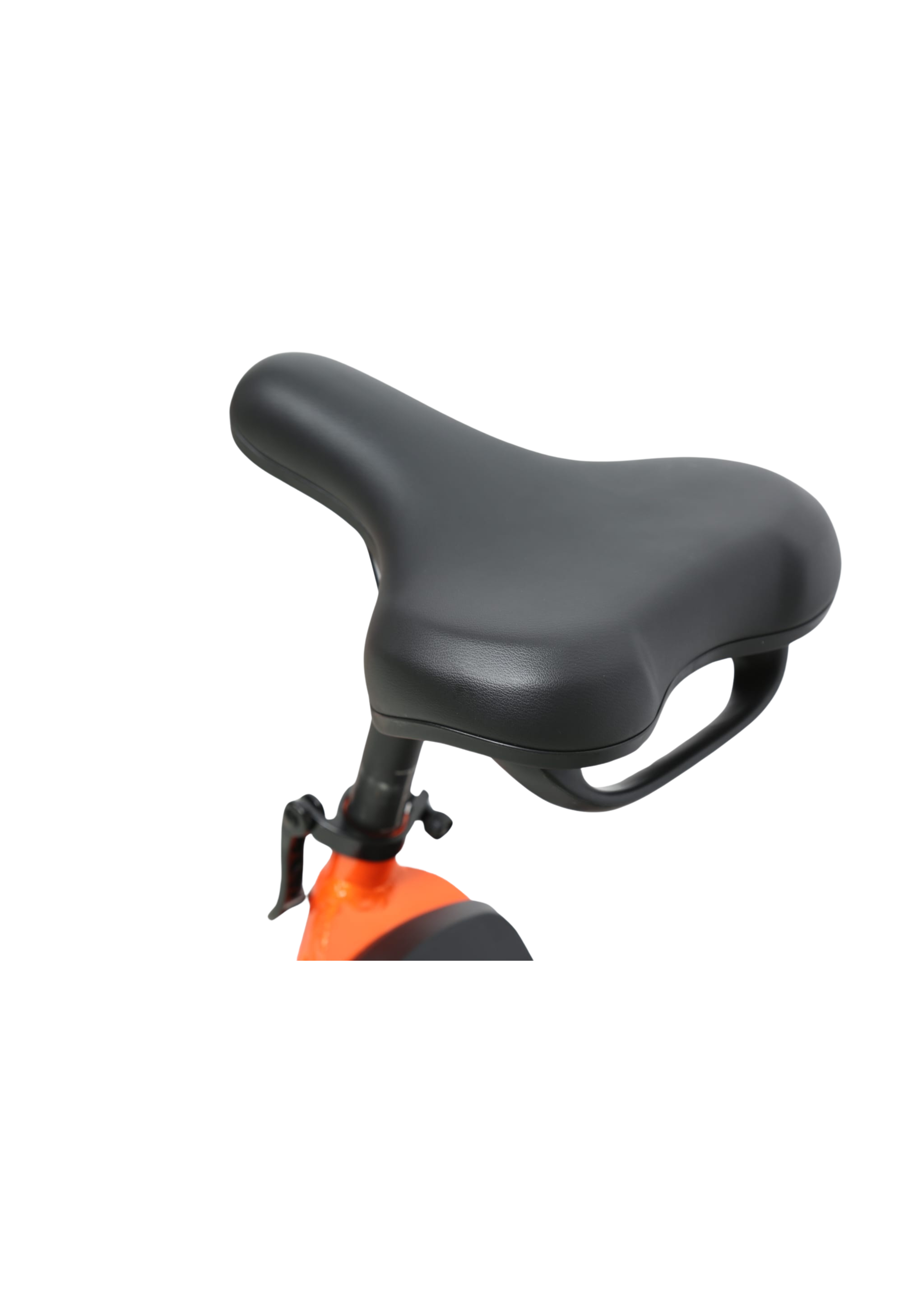Saddle